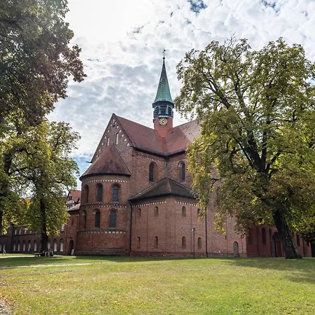Tiny House Ernesto Ferienhaus