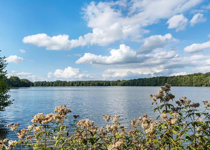 Tiny House Ernesto بيت للعطل *